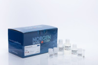 27600 Stool DNA Isolation Kit ( 50 rxn )
